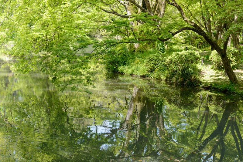 geekgeek 京都サロン