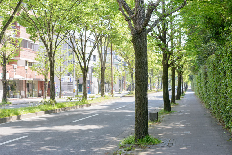 geekgeek 京都サロン